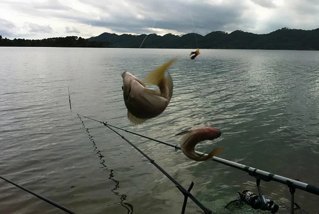 冬季钓鱼,鱼躲在深水,两个方法教你找到鱼窝,连杆钓斤鲫