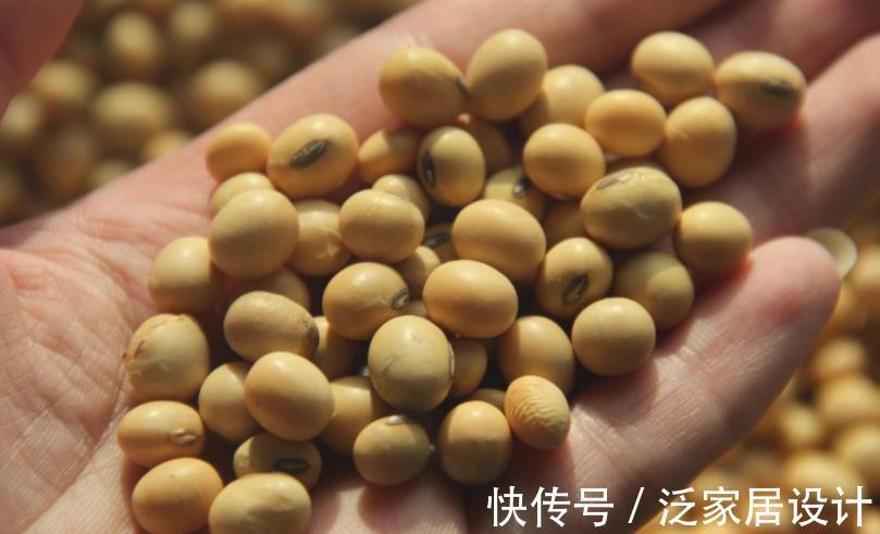 氮肥|这种自制高氮肥,用好了,比淘米水、啤酒水效果好得多