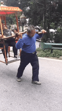 |搞笑GIF趣图:姑娘，你确定不是来找树碰瓷的？