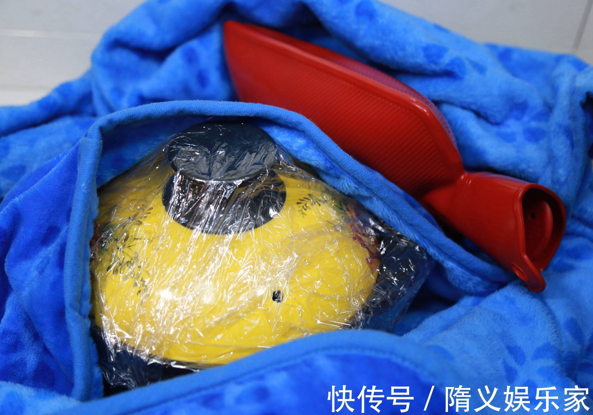 醪糟|做了30年甜酒酿，教您不失败的诀窍，包您做出来人见人夸！