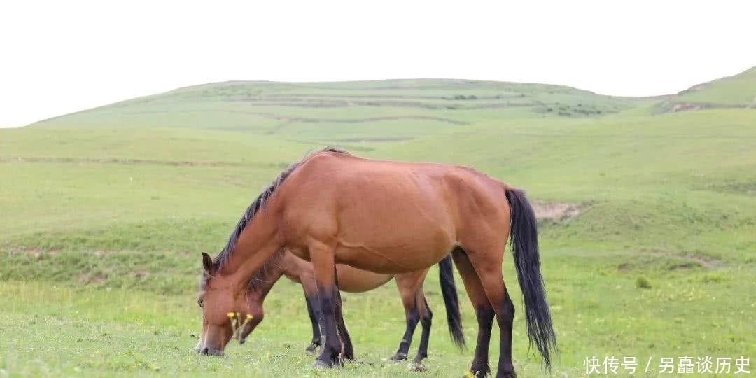 景区|麦积山景区传说之三十五:牧马滩