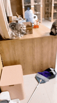 |搞笑GIF:本来想给女友一个惊喜 结果我在医院躺了三个月