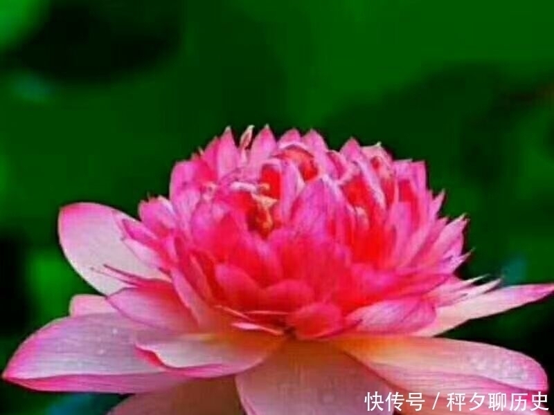 爷爷|爷爷的告诫:人到五十,牢记这四句忠告,否则灾祸将至!