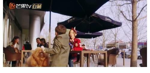 陈小春|这些明星的孩子你羡慕吗?有钱颜高,双商在线,星二代你Pick谁?