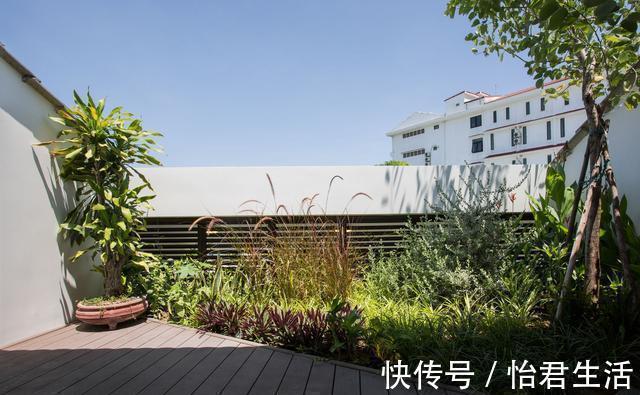 绿植|瞧瞧别人家的自建房,这才是正确的打开方式,舒适度不比豪宅差