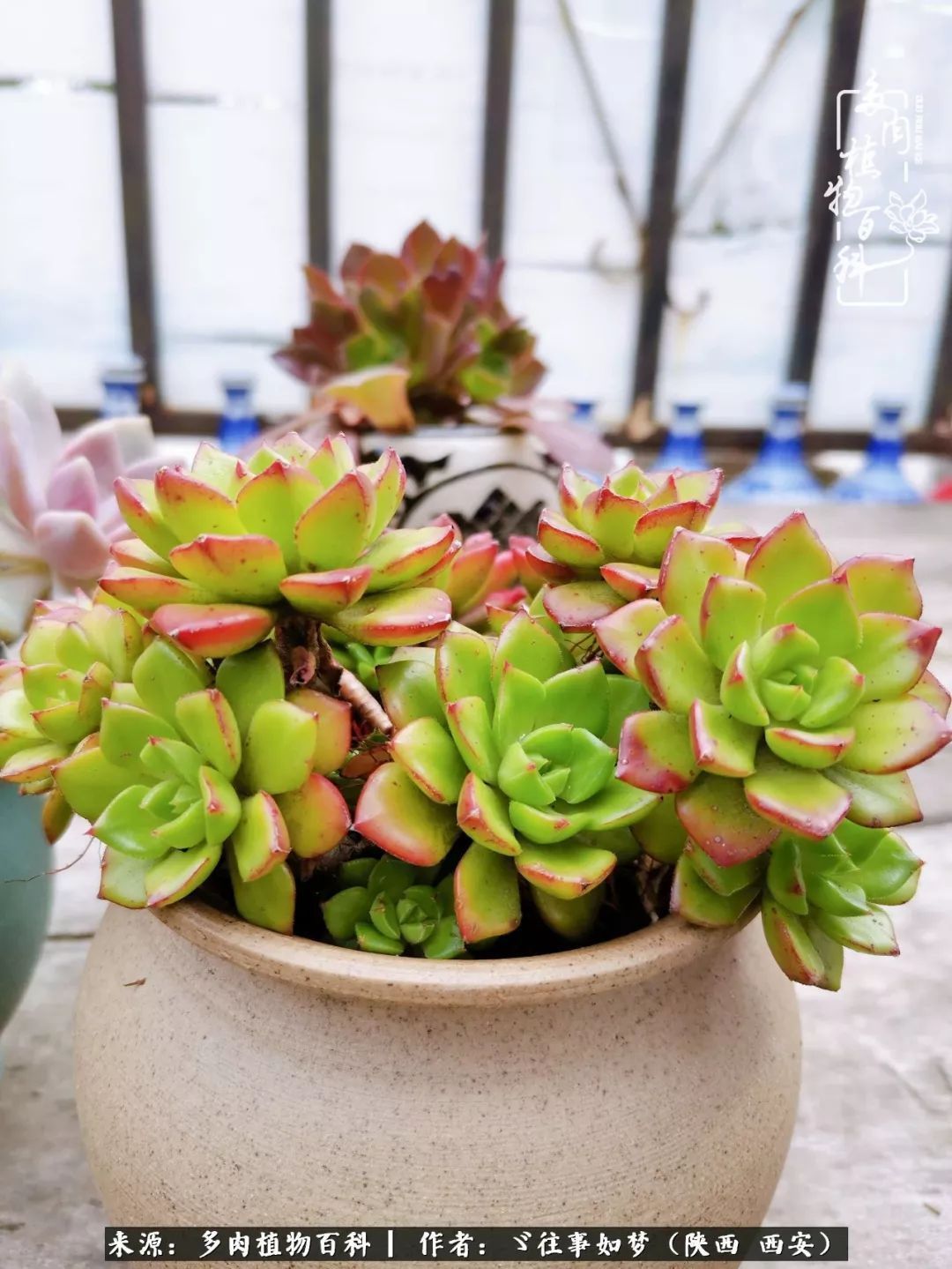 愿你付出甘之如饴，愿你所得归于欢喜！