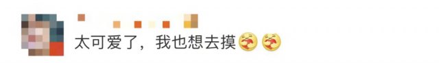 国家反诈中心|扫码就能摸！