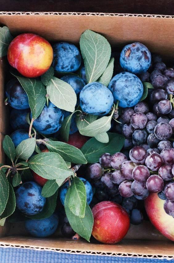  颜色|原来大自然才是真正的“调色高手”！