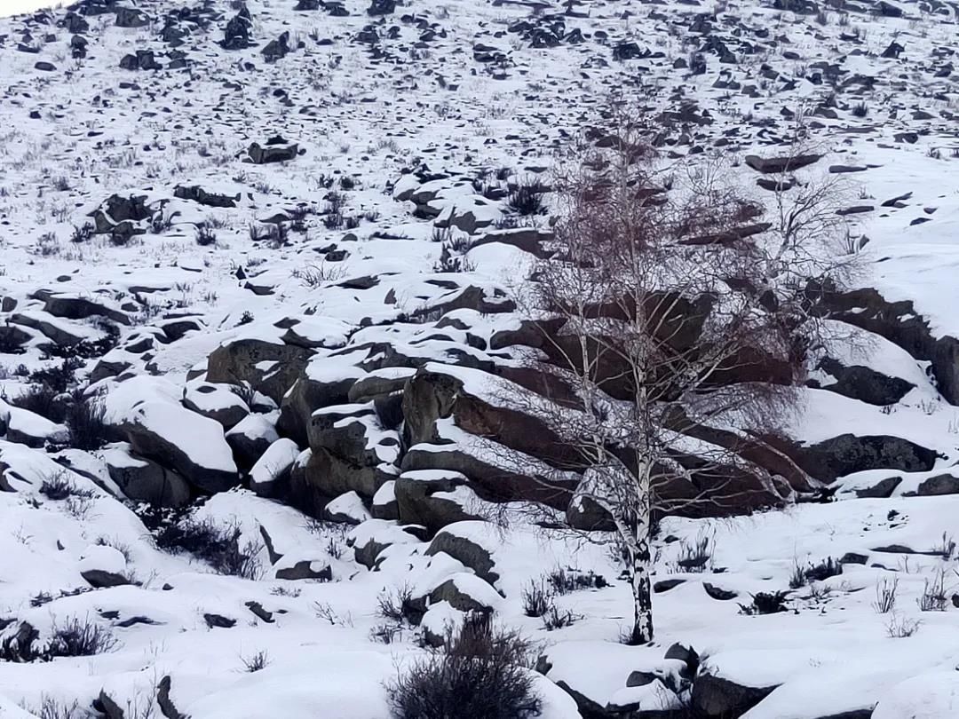 怪石嶙峋雪中立 万年历史画中寻