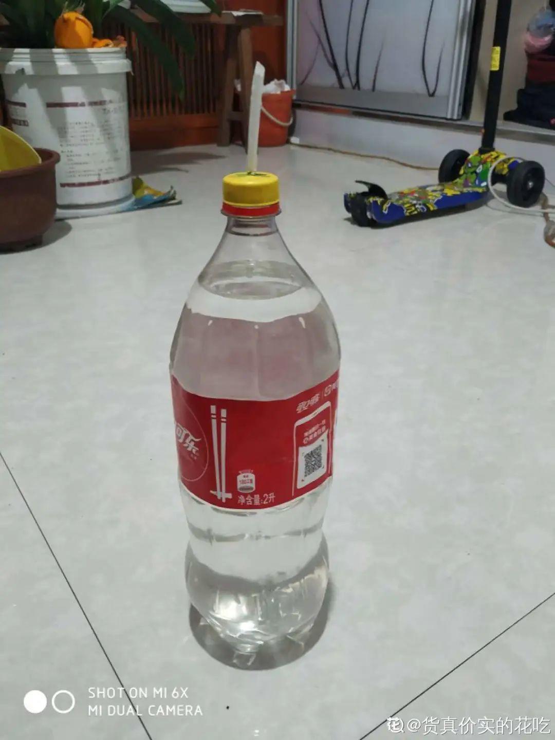 1个塑料瓶,居然有8种养花方法,省钱又好用!