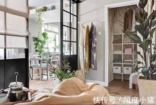绿植|46平公寓，墙面挂衣架，步入式衣帽间，地台沙发，小户型大设计