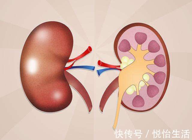 穴位|腎不好的人，晨起后常做3件事，堅持一段時間，腎會越來越健康