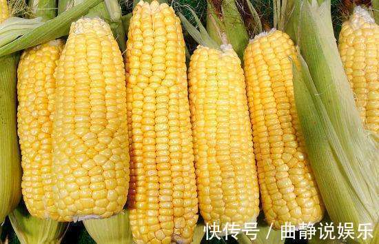 常吃|常吃玉米的人,身体不会差,但切忌与一物同食,却有很多人不清楚