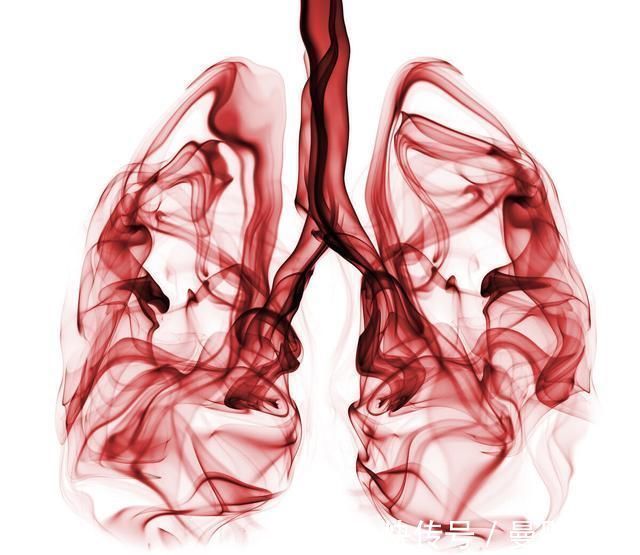 大便|排便时，大便“前硬后软”意味着什么？关于这几个原因，别忽视