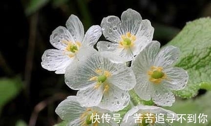 大贵人|生肖鼠：3月30日关注身边一个人，他是你未来1个月的大贵人