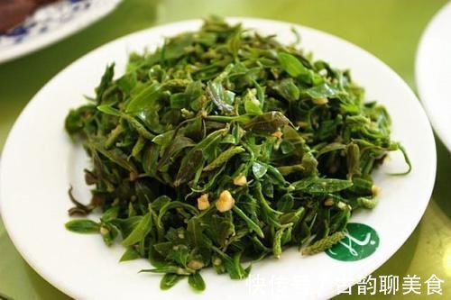 柳树|它是“天然阿司匹林”，能降低胆固醇和扩张血管，只要6元一斤！