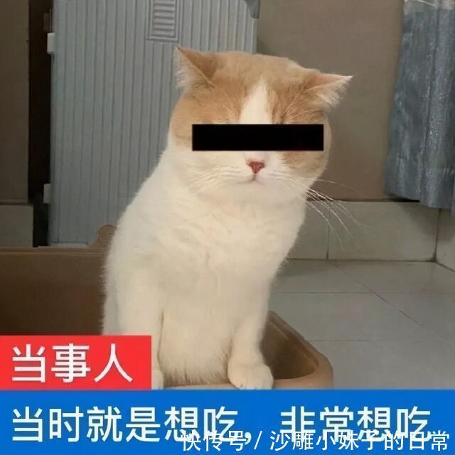 |幽默笑话:烈日炎炎的夏天,我的富二代兄弟带着他新交的空姐女友出去度假避暑。