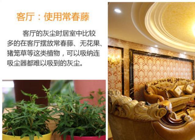 玄关|如何让家里更加的清新4个地方摆放绿植,给你带来不一样的感觉