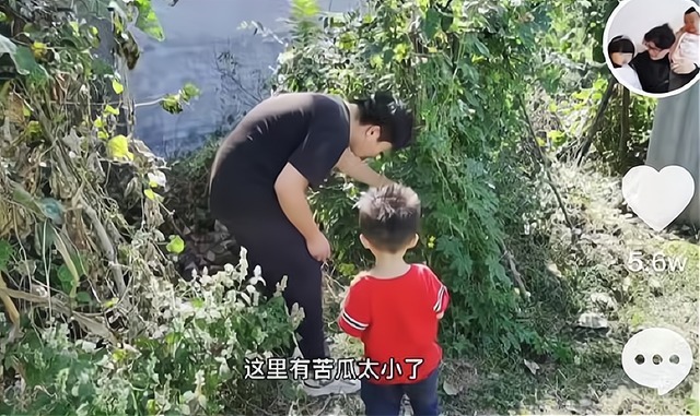 丝瓜|田静弟弟带奇奇摘丝瓜,奇奇已经认识多种蔬菜,网友:帅气的舅舅