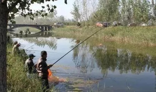 秋季，鱼都喜欢躲在这4个地方，选择合适的钓位，上鱼特别快