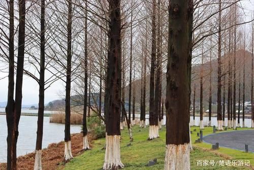 两条溪水汇成的湿地，周边都是优美的风景，再过一个月就是最美时