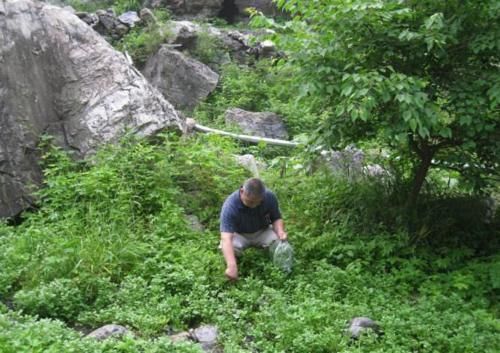 以下东西是胃病的克星,早晚吃两口,修复胃黏膜,大小胃病不来扰