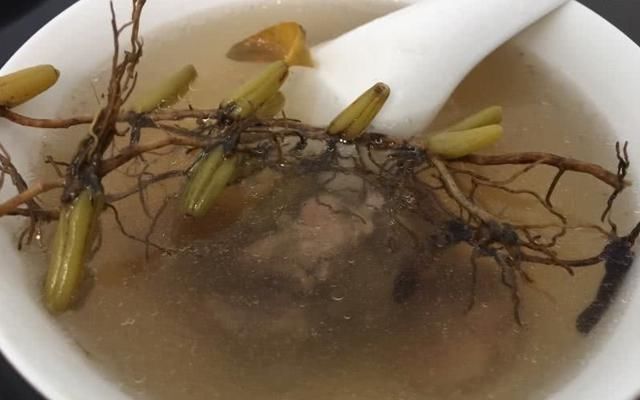 它便是“独叶岩珠”,是一味珍贵药材,爬山若有遇见请重视一下