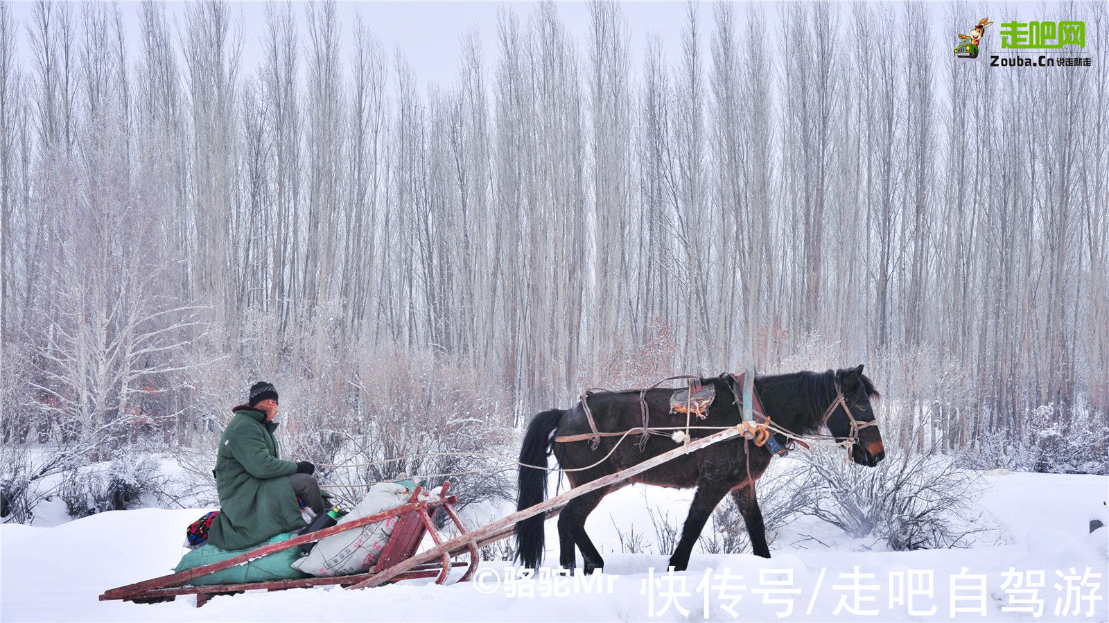 图瓦人|这里被称为“神的自留地”，一年有365天就美了365天，尤其在冬季