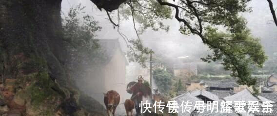 岳阳楼记@陆游45岁时写下一首诗,其中两句流传千古,让人摆脱迷茫和焦虑