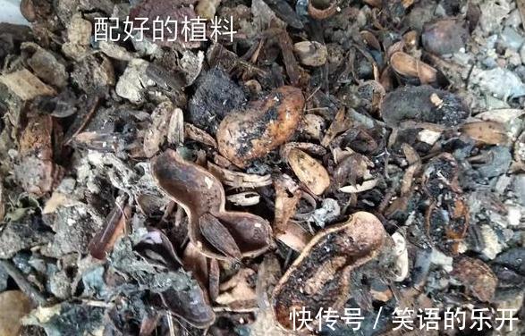 煮熟的花生壳或者烘烤的花生壳需不需要重新发酵吗?因为什么呢?