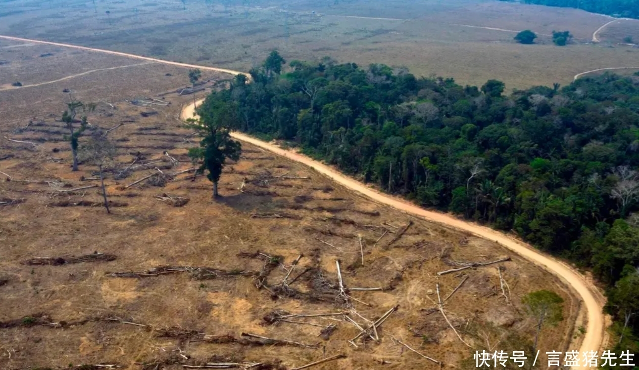 流域 更大的灾难来临?科学家警告:亚马逊逼近崩溃,开始加速地球变暖