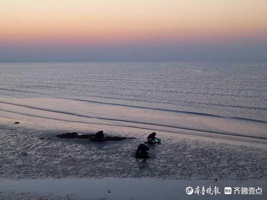 中年|情报站｜夕阳染红了烟台的海边，余晖布满海面惊艳游人