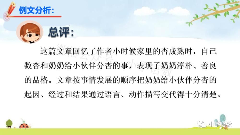 杏熟|部编版语文四年级上册第五单元《习作例文》课件及同步练习