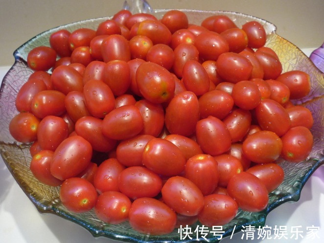 番茄素|孕期,有4种水果孕妈别不舍得食用,能提升免疫力,对宝宝皮肤好