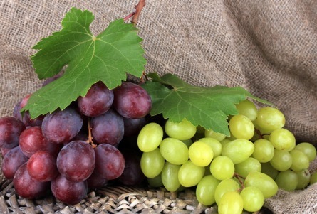 脑梗|61岁阿姨只吃素不吃肉突发脑梗？降脂2误区莫再犯，血脂稳吃3物