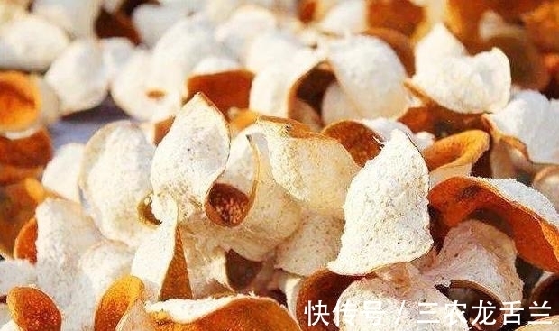 柑橘|药店常见的“陈皮”,是不是把桔子皮晒干就是了?看完才知太单纯