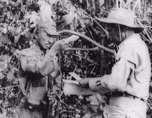 逃亡|二战日本投降后，一名日本兵在丛林逃亡31年，印尼却为他立雕像