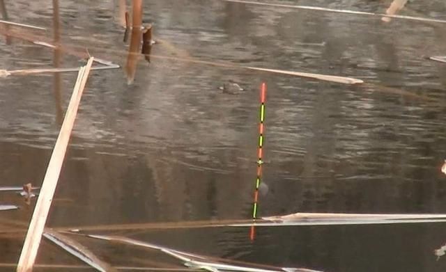 钓半水浮漂只需这样调,钓底、钓浮无需再次调漂