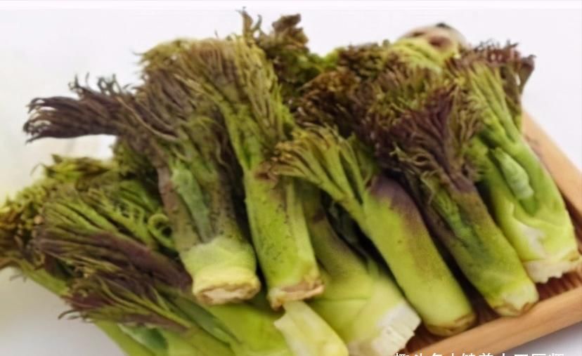 春天養生正當時，不妨多吃幾種食物，美容養顏，滋潤身體