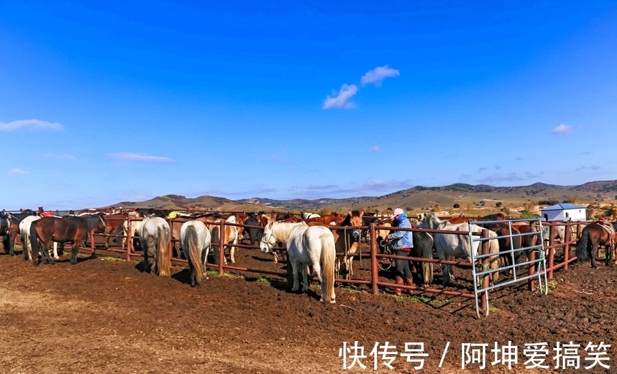 九曲十八湾|盘龙峡谷，乌兰布统草原上的九曲十八湾，展现的是一种原始的美