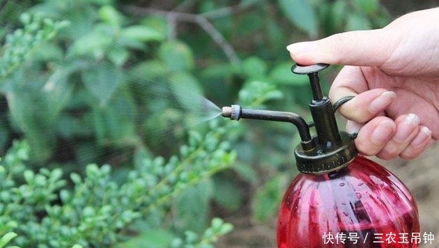 木糠|花盆土壤板结硬化怎么办? 无需换土, 轻松解决小技巧分享!