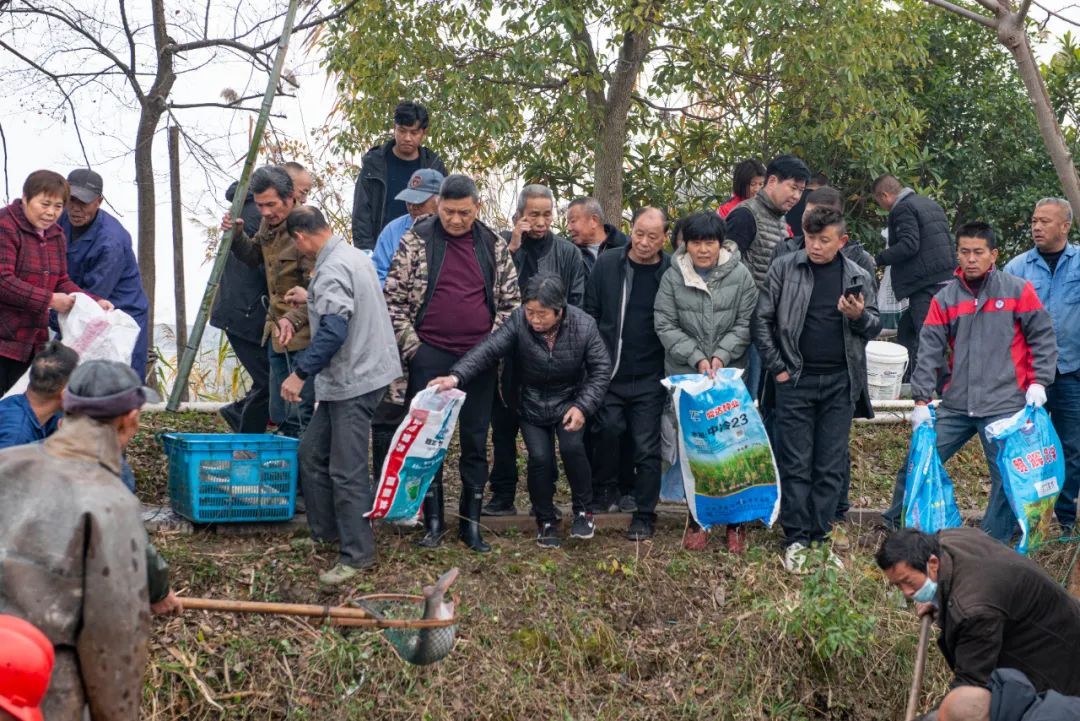 捕鱼|大场面！凌晨6点杭州捕起“大家伙”！有人带着麻袋赶来