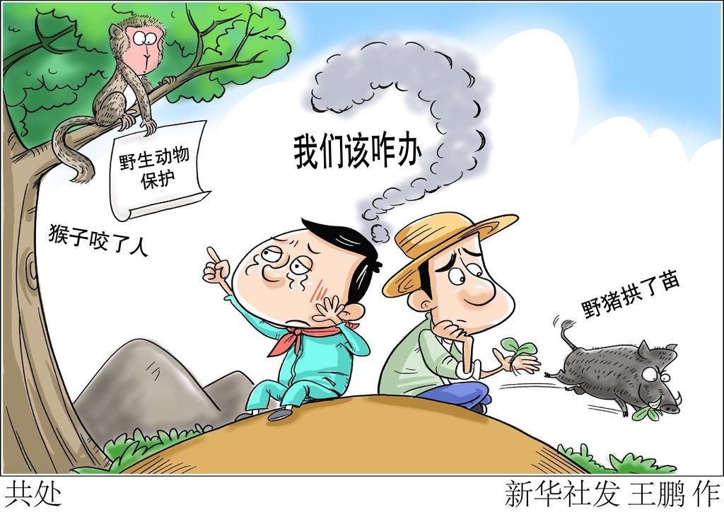 民生|（图表·漫画）［民生直通车］共处