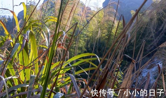 腕表 跨越山川河海，一块手表就可以走天下！