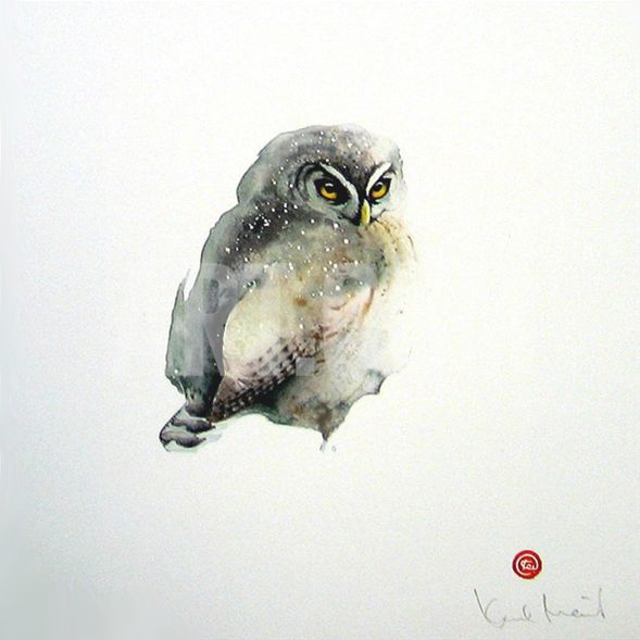 水彩艺@水彩艺术家卡尔·马尔滕斯画的鸟,惟妙惟肖!