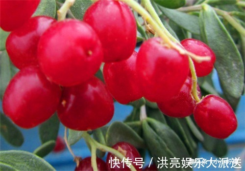 润肠|中年女性可以坚持吃4种食物,排毒润肠,预防子宫早衰,增强抵抗