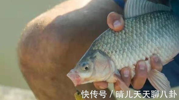 野钓|野钓“对付”小鱼我从不手软,每次换用这5招,效果不是一般的好