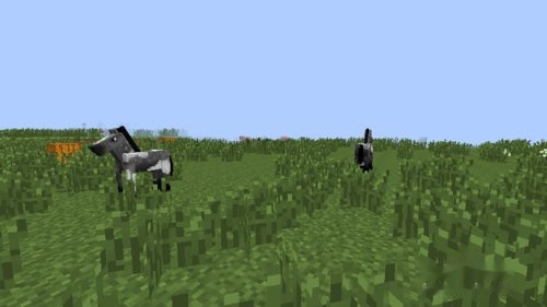 Minecraft 我的世界 如何骑马 驯马 快资讯