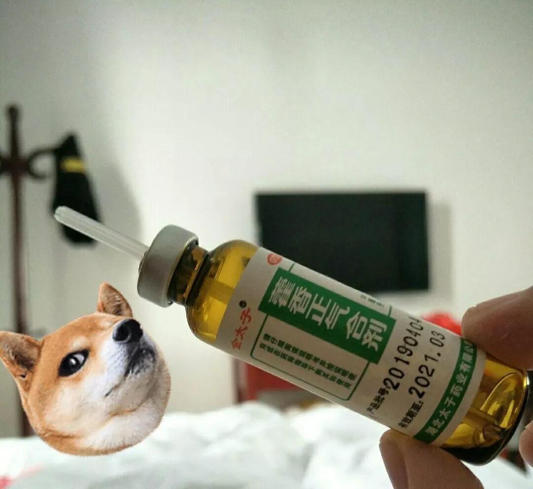 夏天养花“招虫子”6种方法存好了，安全又有效！