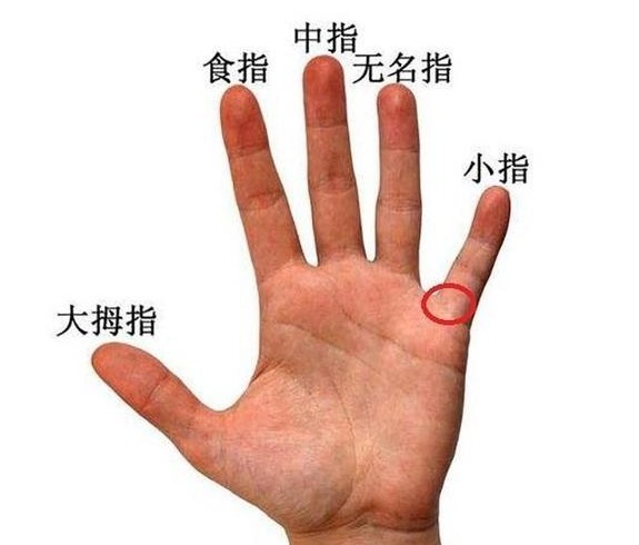 珍珠|珍珠有康寿的美称,戒指怎么选购呢?戒指的戴法代表什么意义呢?